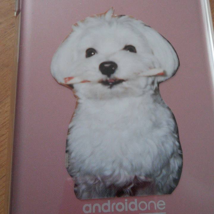 69d164eb dcb4 4b93 8a9d b08b8a71f96e 1573087604931