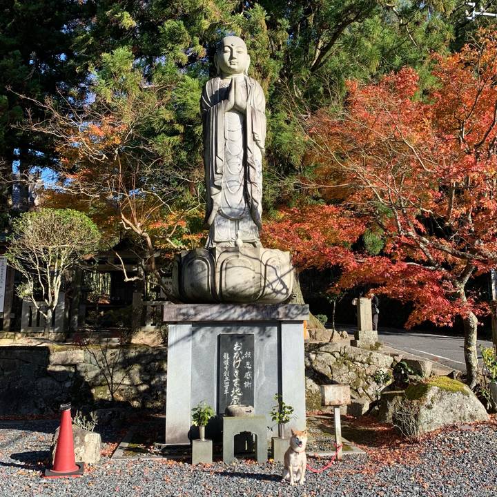 69d18a23 1c78 464b a830 6cc2debfb373 1605945743682