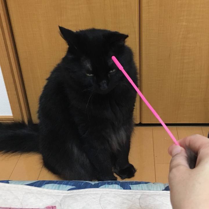 69d1afde 22b4 4c02 9b44 14127977baf8 1535637281168