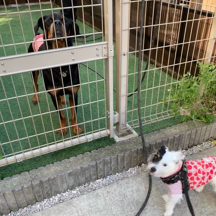 69d1cd01 20a4 4d24 a961 7c8dff8ccc27 1732752837437