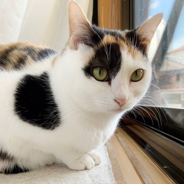 69d20ebc cf3b 4943 8c3e 18e95762f945 1552614713129