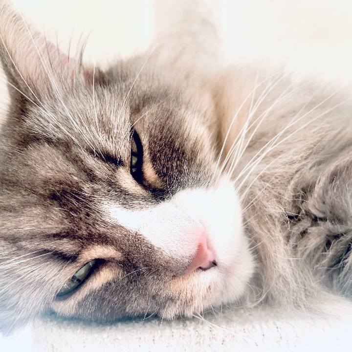 69d227ed 6add 40cb a433 07b2e239062b 1762656336683