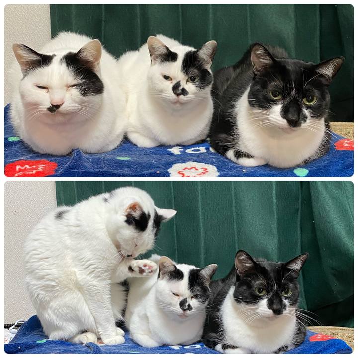 69d23e9a f8d9 4041 b370 385ba637b993 1709697733434