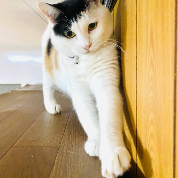 69d28291 53d7 4683 808f bdeebae01cd7 1663677546954