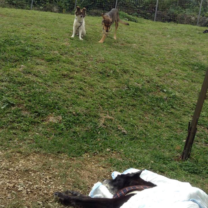 69d29497 40ba 46b3 b4a0 afea9465691b 1515675257984