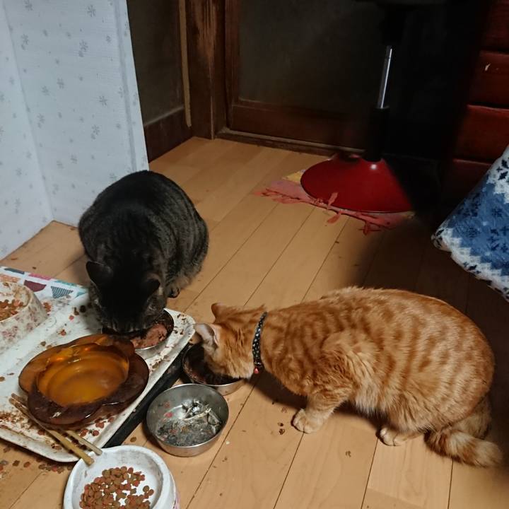 69d294a2 01bb 4385 8e3e 7478e2a6b51d 1644701642779