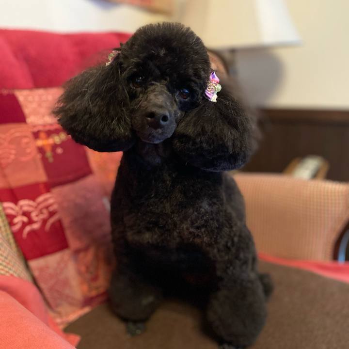 69d29671 1616 4876 af96 c949a1142e2d 1619578322612