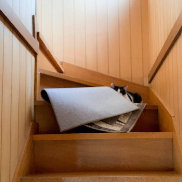 69d29be1 91ee 481d 9f94 e9e03634b7d1 1588729539372