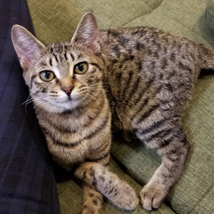 69d2a931 29d4 462d ac31 83bfc00f84f9 1544275919666