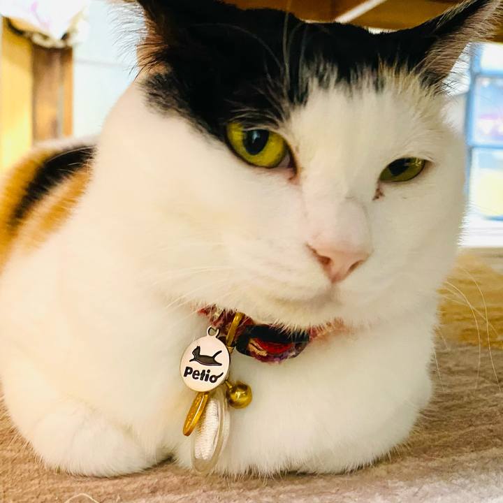 69d2e142 1d9b 489d a66e d6b6ac27803b 1716299668432