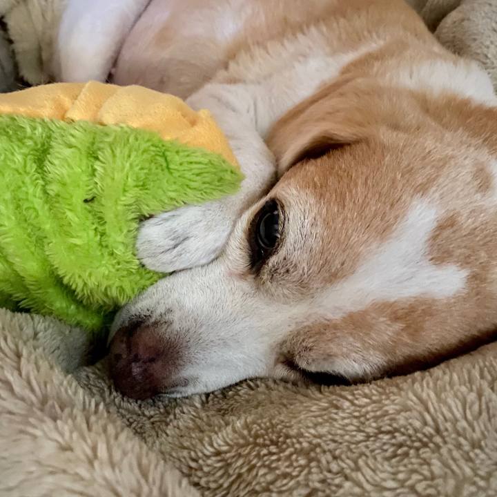 69d2f11c 5f66 4627 8511 07a917df1e70 1596237492016