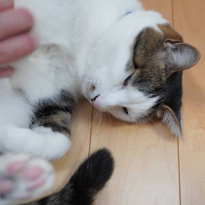 69d2f717 928f 41a4 911a 0b6fd9d6250f 1583287436185