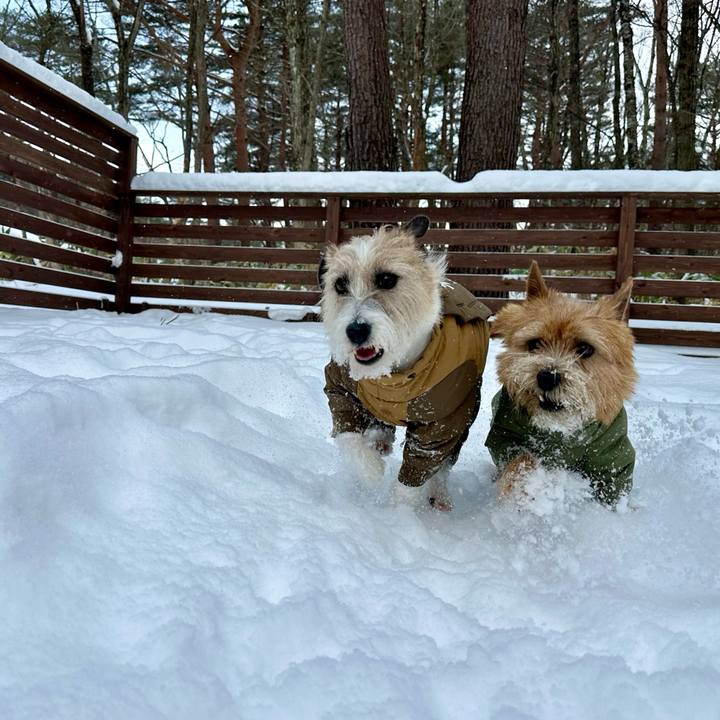 69d391fd dde4 4ec8 aca0 1ca39a4ff3fb 1738417979715