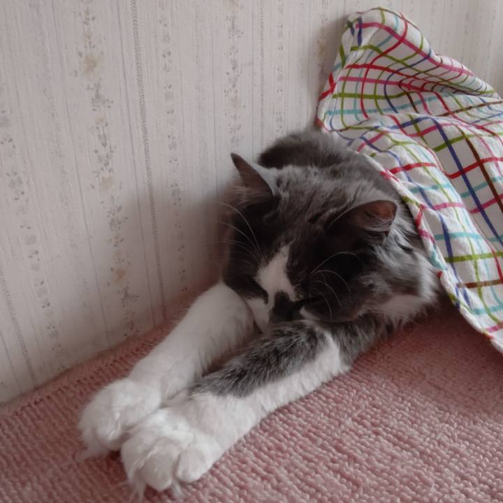 69d3a262 6bb2 4f63 b648 c471da94c970 1590833722572