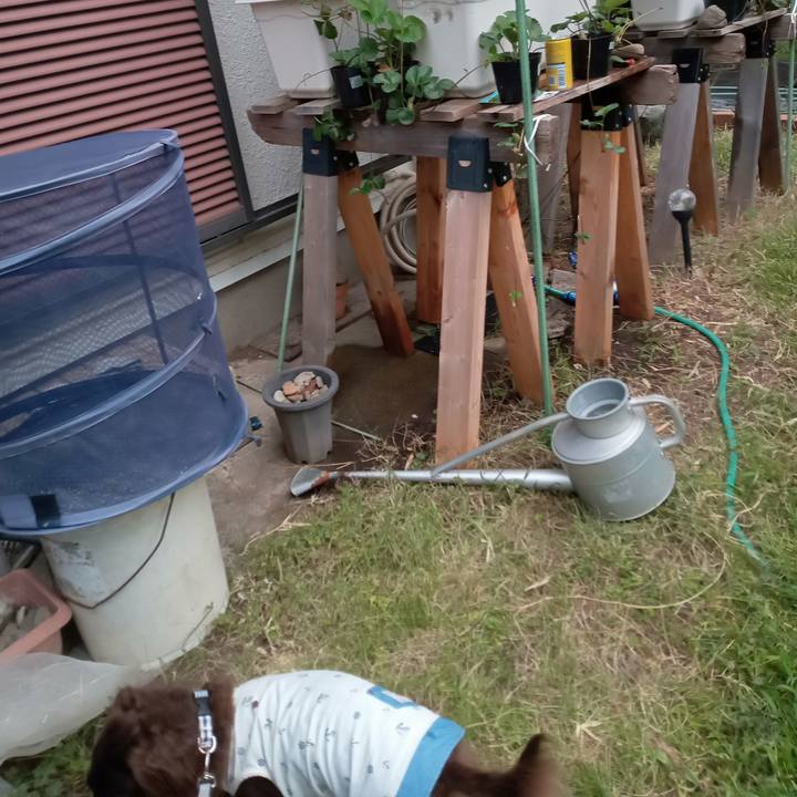 69d3a55e 227f 4f8d 8d63 541c25cb5118 1756591230948