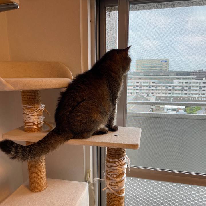 69d3c4ba 8734 4cfb a1d6 21a29df85e29 1751584533520