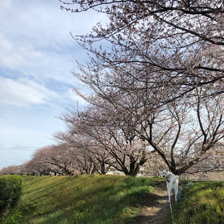 69d3ce89 1467 4c2f 8f53 853e248e771a 1585453244739