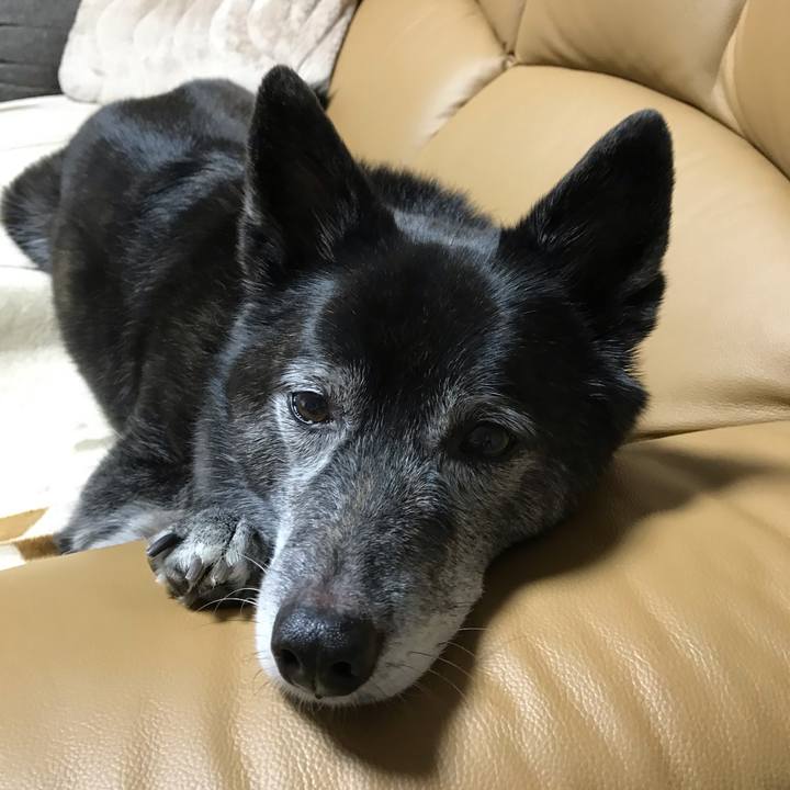 69d438b1 9407 490f 943f d5aad3543f96 1614576611604