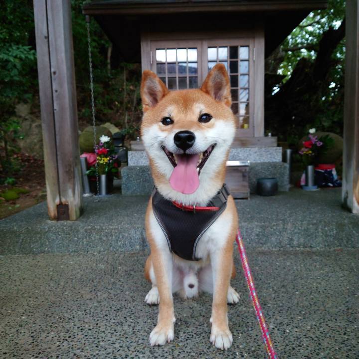 69d447c1 9dc7 4c42 8221 e512d4b9d4f3 1758276930358