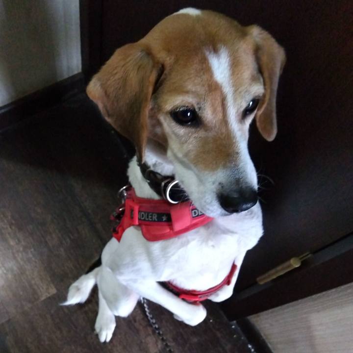 69d48707 0b3c 413f a34d b247fe8e6fc5 1706699657349