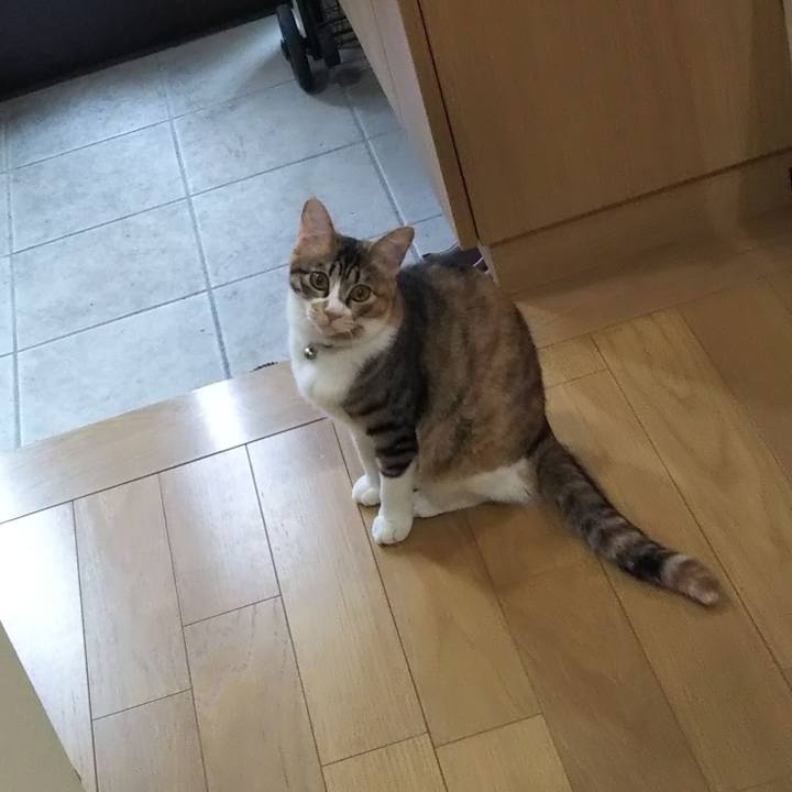 69d4a06c e0a9 42ce a16a 2a0284bac93b 1644969945776