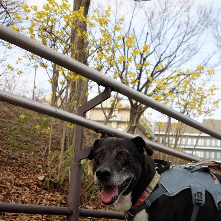 69d4a78b bcb5 4eda b71e d8b44e25c113 1743035604550