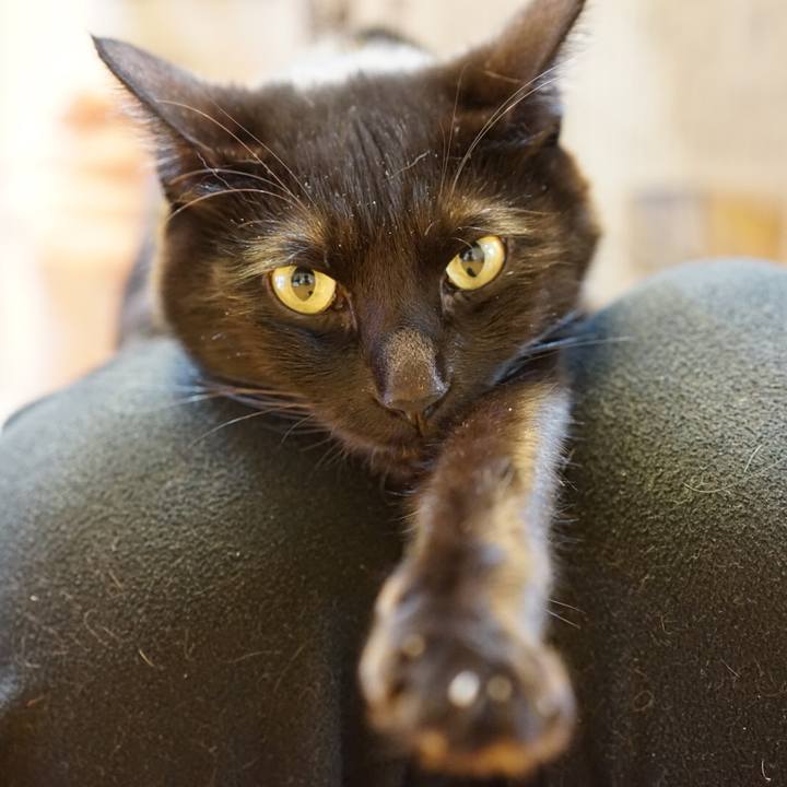 69d57ddf 22d3 4441 8d5e f43d1e2ea4cb 1550793108221