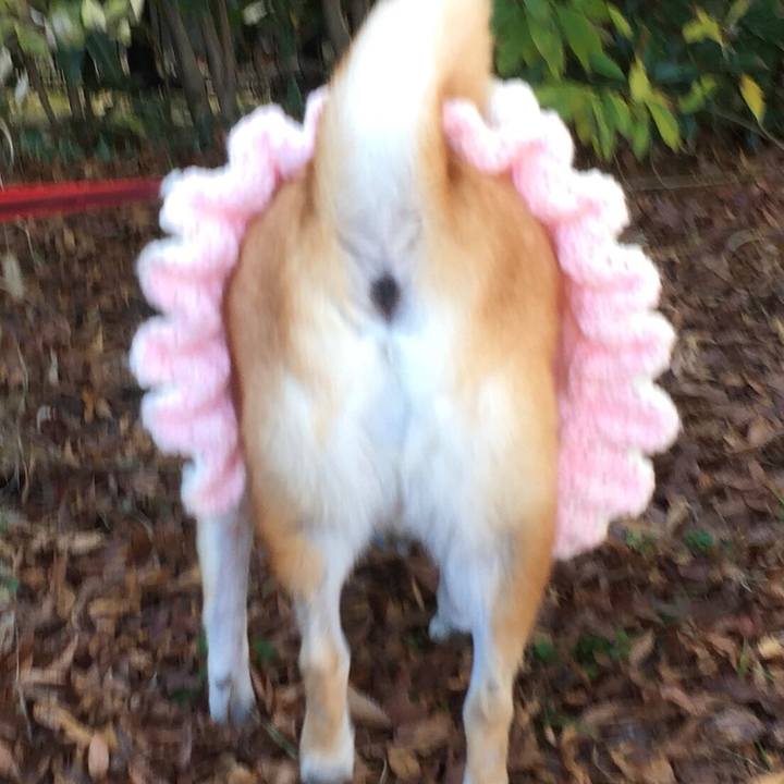 69d5d0be 785a 4c31 9bca a88931a12206 1511241456400