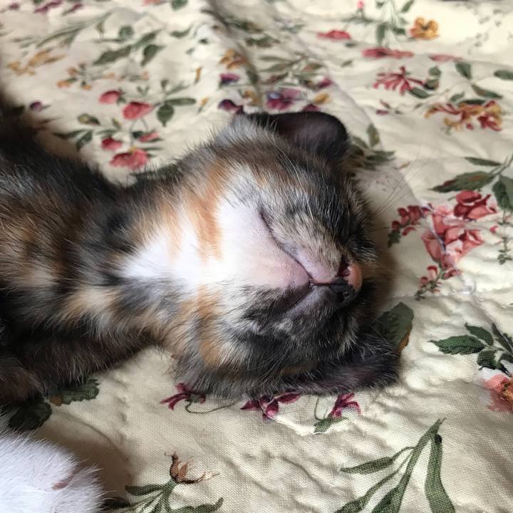 69d5eb96 3da9 41a5 a3e1 3df32c37c09d 1597025774180