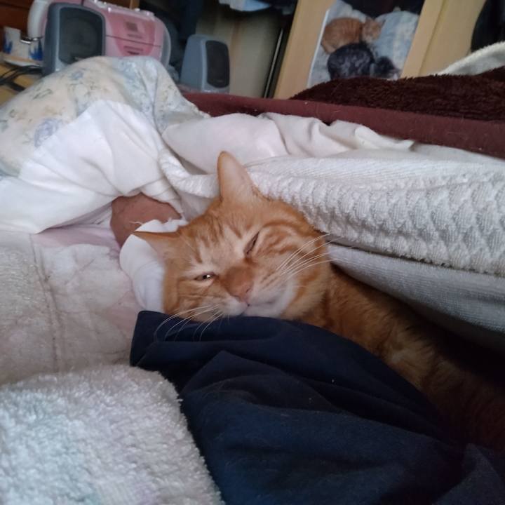 69d64f50 dd81 4341 8ff3 e28b254259f5 1710026246121