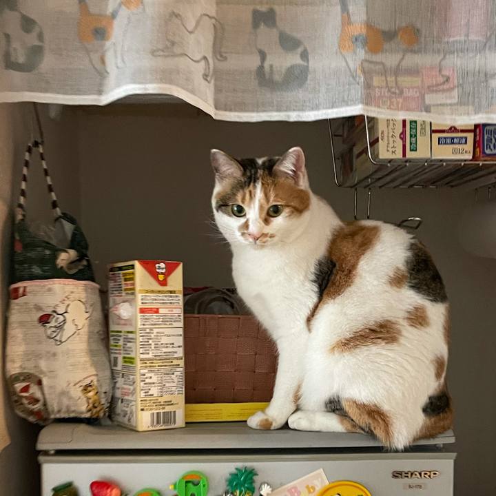 69d67130 673f 4ae3 aec2 307d8a77971a 1611718159854