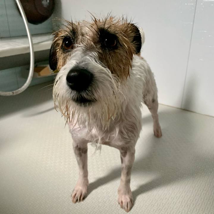 69d673db 9a35 4892 a859 684bd3bc130f 1657156079610