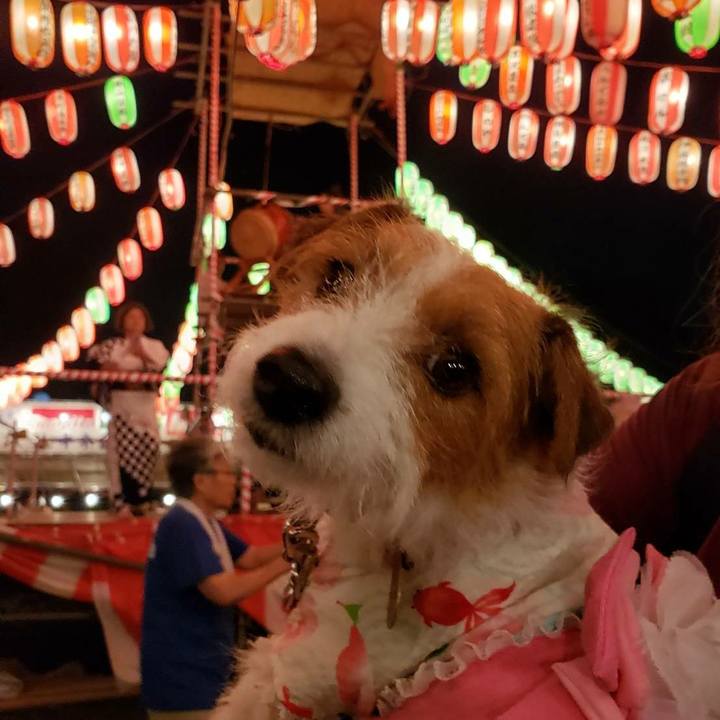 69d67e3d 61a9 4c5a 9b35 50b1146c66a5 1564361667992