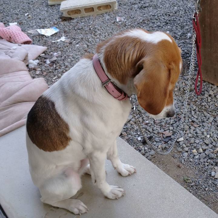 69d68411 4905 4b2c a20a 8eeb541f8761 1582197927307