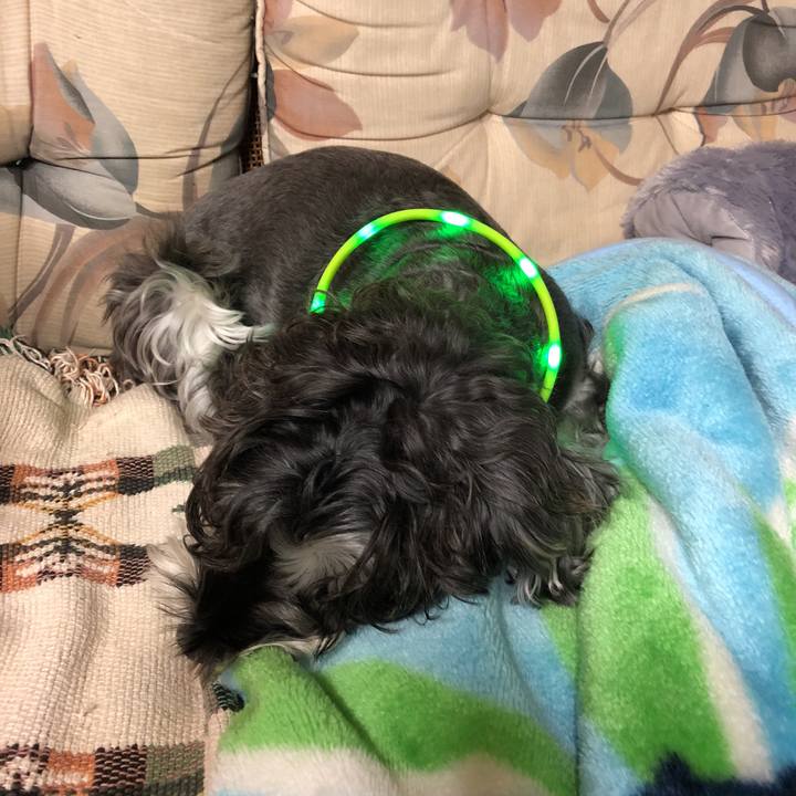 69d6a4ae 6c31 4424 8aa1 d7f655320d1b 1540638983916