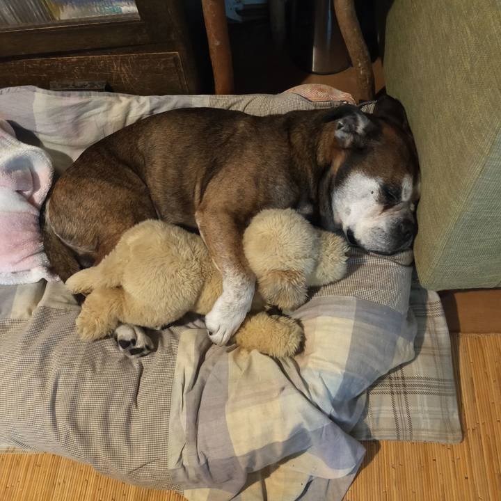 69d6ad47 cc09 47e2 965e 15a14f4772a4 1662644320788