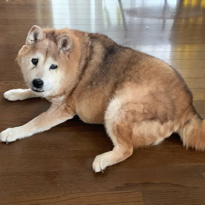 69d6bba7 3b63 4e24 ba17 bca26a3e2d18 1654035071702