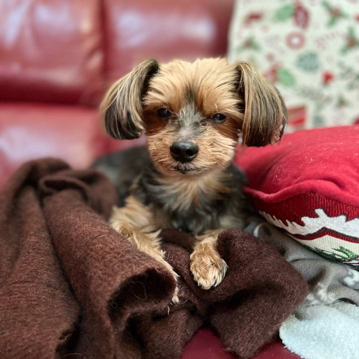 69d6c1dd 99bb 4812 82b4 095566c0bed7 1640738200826