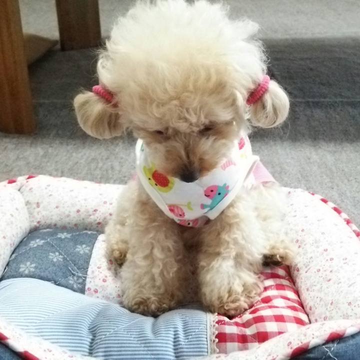 69d6fbb2 7463 4fd0 96c1 e9ef3a1765ba 1529925373055