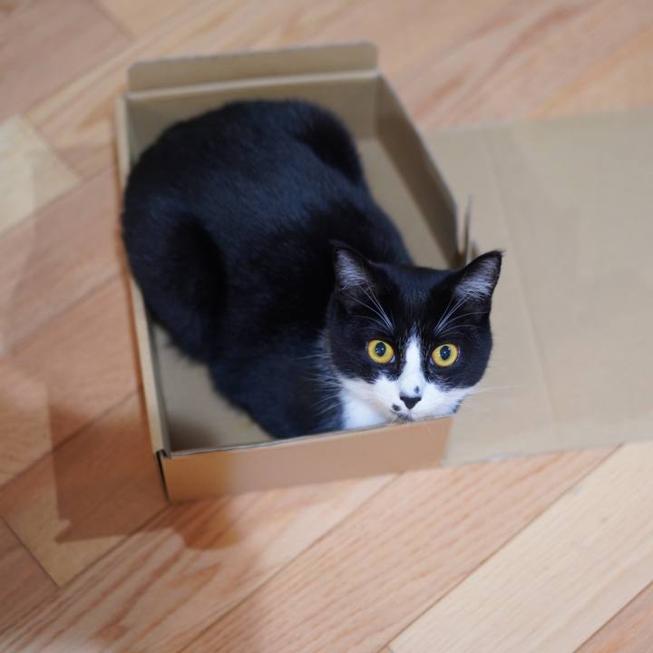 69d6fd98 c994 45e5 8e7b 332bb485e640 1624541742825