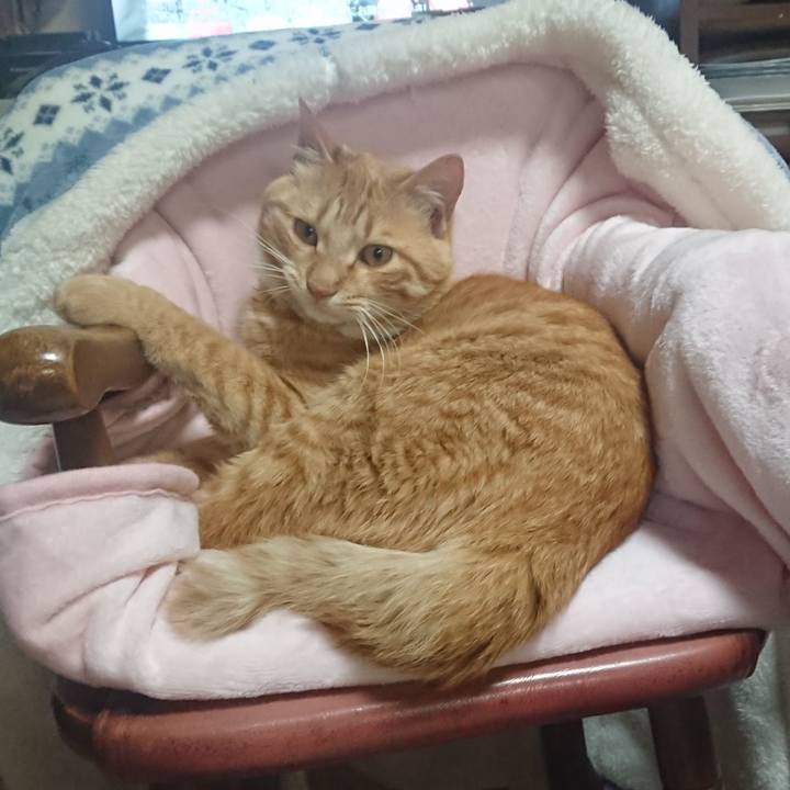 69d70c60 ae1f 4787 8aa8 188616f8a163 1651234851505