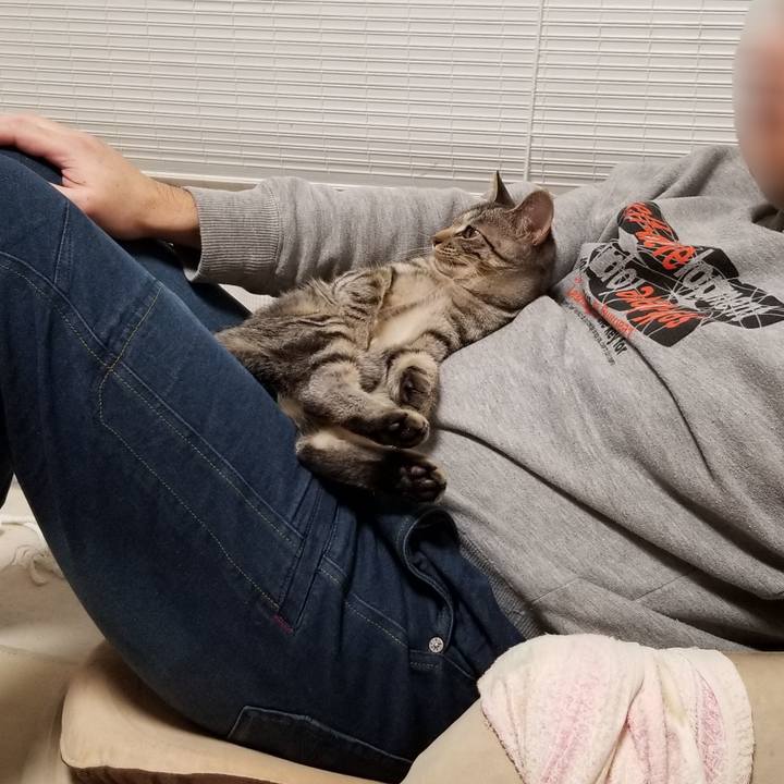 69d7142a 1b98 4401 bc41 8d232051a332 1670718076820