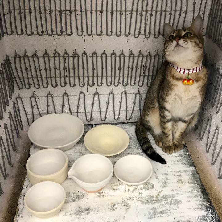 69d74204 653c 44f5 9f91 6887e6b01e90 1616112647094