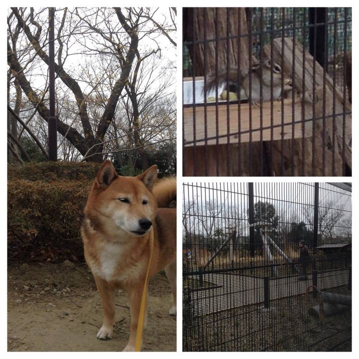 69d74ef5 2400 4839 8380 114b16d41a3f 1519214730488