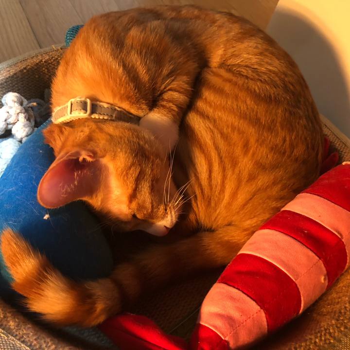 69d7548f 5846 4ea3 88c6 cf42bcc18806 1548237430461