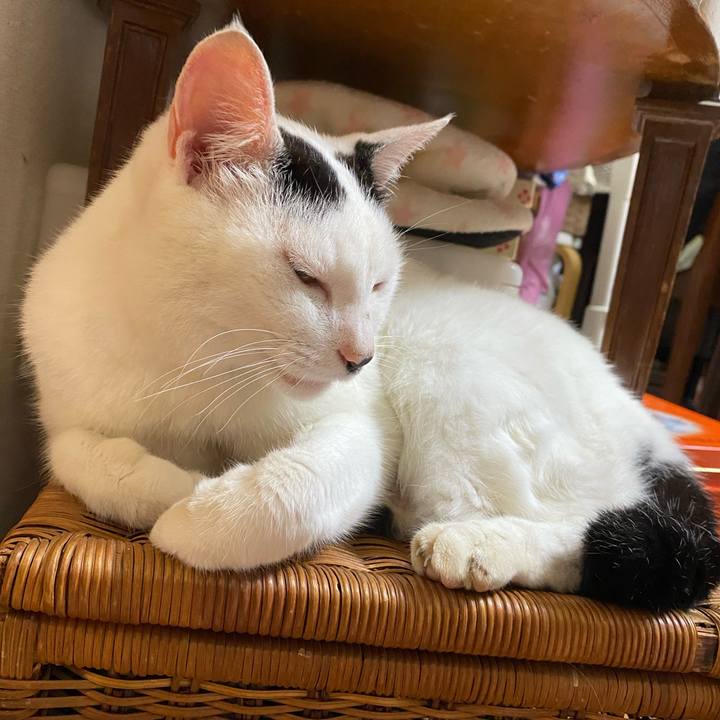 69d7691b e13e 4529 bff9 8bfac9ac424f 1595175103407