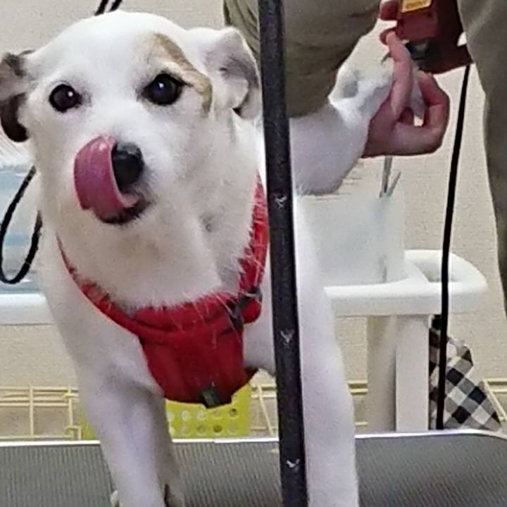 69d77ed1 7afa 4259 a082 05b2ecdc0dee 1541632817442