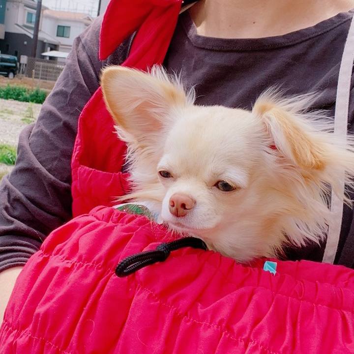 69d78535 d0d2 4b15 b863 1419bca2a76e 1620961623508