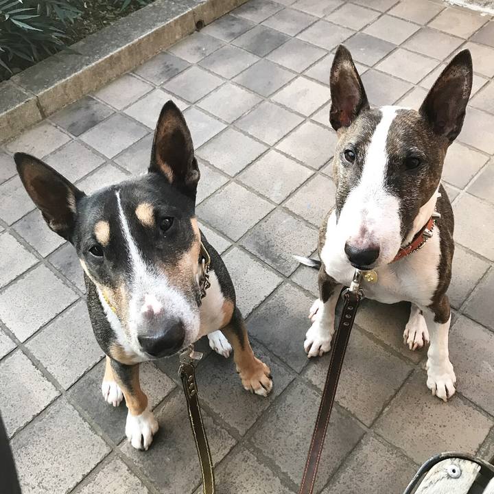 69d78718 aafd 4146 992f 78757ea1f264 1511594328895