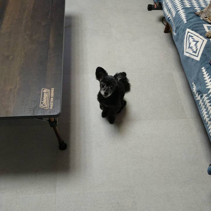 69d79db2 ac06 49b2 9480 30f693ae3765 1724328596325